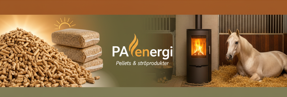 PA Energi – webb & system